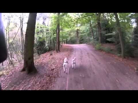 Ströhen 2014  mit Müttern und Scooter