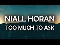 Niall Horan - Too Much to Ask (Lyrics / Lyric Video)
