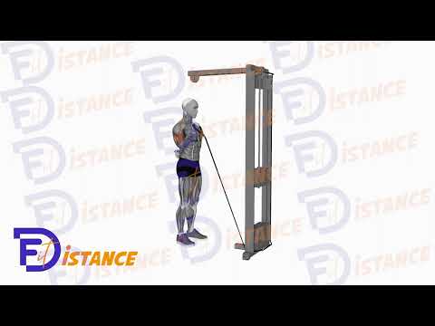 Exercice Curls à la poulie basse unilatéral