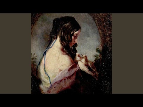 should have (feat. wicca phase springs eternal)