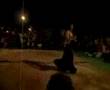 BELLY DANCING SAFARI