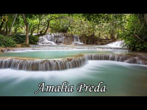 Amalia Preda - Colaj cu muzica crestina.