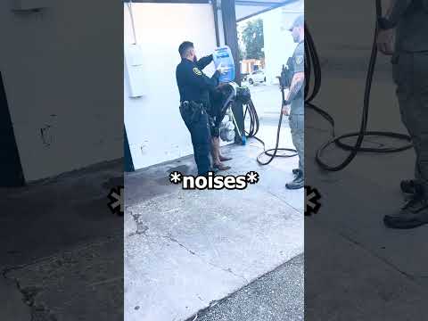 Thief Gets Instant Karma 😂