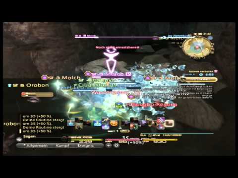 Let´s Play FF-XIV A Realm Reborn (german) #95 PS3