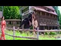 Simbu Love Cut2 Simbu STR Love Status Tamil Request Status Tamil