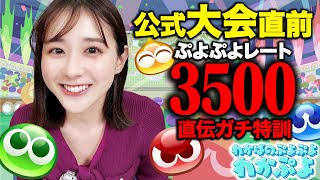 【わかぷよ】レート3500直伝!!大会直前特訓10連戦!!【若林アナ&ヨダソウマ】