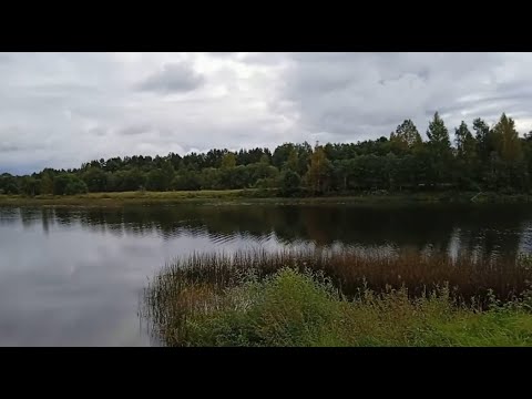 Walk to the Medveditsa River Russian countryside #classic