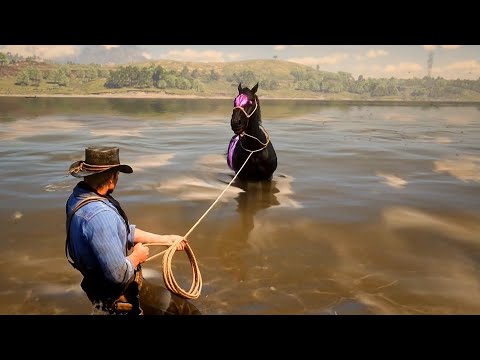 Arthur catch a best horse - Red Dead Redemption 2 Gameplay