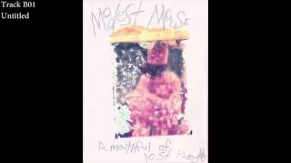 Modest Mouse - A Mouthful Of Lost Thoughts