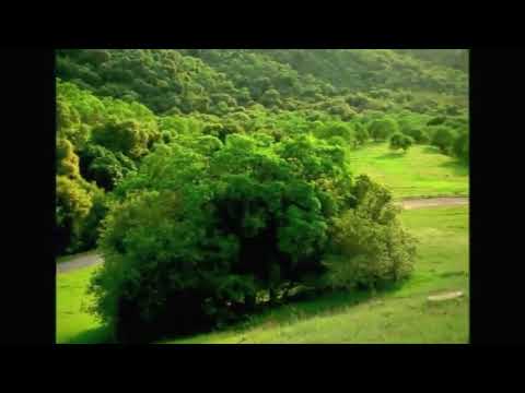 Caddicarus Clip - Hello!