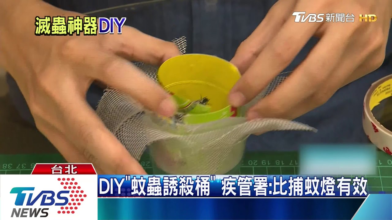 DIY「蚊蟲誘殺桶」　疾管署：比捕蚊燈有效