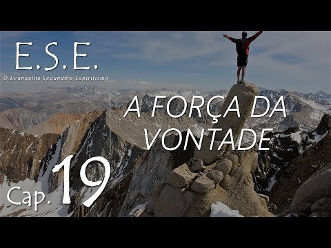 A FORÇA DA VONTADE  |  ROGÉRIO ALVES |