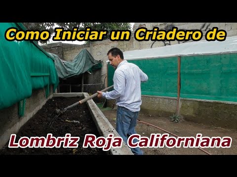 El parásito el gusano negro La clínica veterinaria el tratamiento contra las lombrices