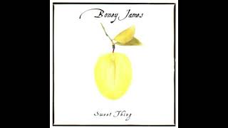 Boney James - After The Rain