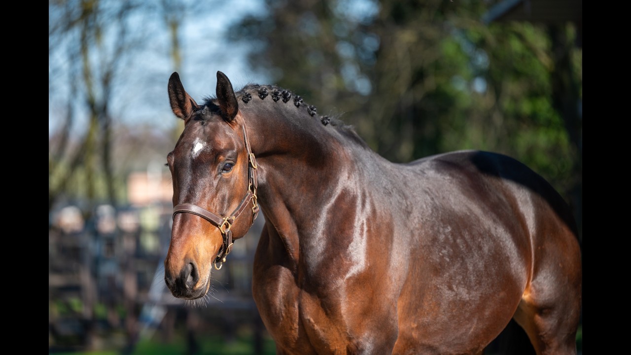 Mon Ami ☆ (FERDEAUX x CHARMEUR) video 1