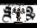 Skatle GVNT Qwellers TUNNEL VISION Official Audio Ft Various Artists