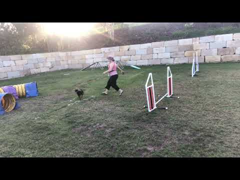 Straight jump to tunnel