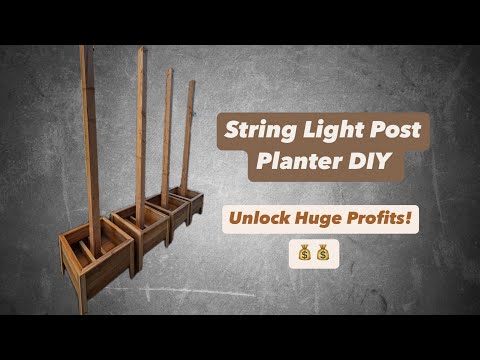 String Light Planters | DIY Build