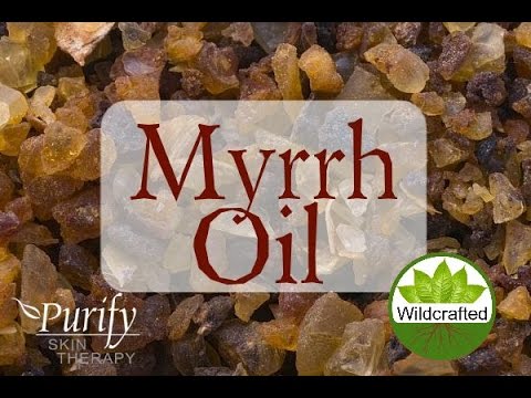 download lagu mp3 mp4 Myrrh Essential Oil Uses, download lagu Myrrh Essential Oil Uses gratis, unduh video klip Myrrh Essential Oil Uses