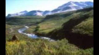 She didn't know (She kept on talking) DeeDee Warwick.wmv