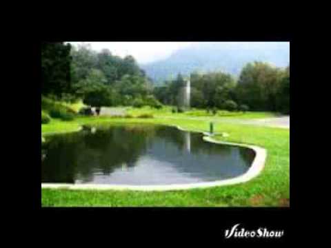 Ecko Show Beautiful Ladies