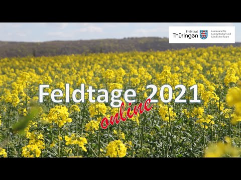 Bekämpfungsmöglichkeiten von Unkräutern in Winterraps