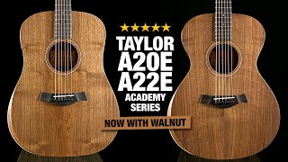 Video thumbnail for New Taylor Academy Series - All Walnut A20e and A22e Guitars! by Acoustic Letter