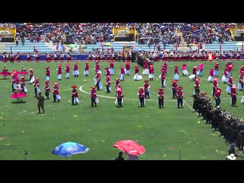 ASOCIACIÓN CENTRAL PULI PULIS DE TARACO - DANZAS AUTÓCTONAS (CANDELARIA 2020)