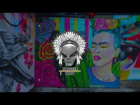 GRiZ - Gotta Push On (Pomrad remix) [POPPING]