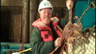 2009 Fresh Alaska Red King Crab from The Crab Broker