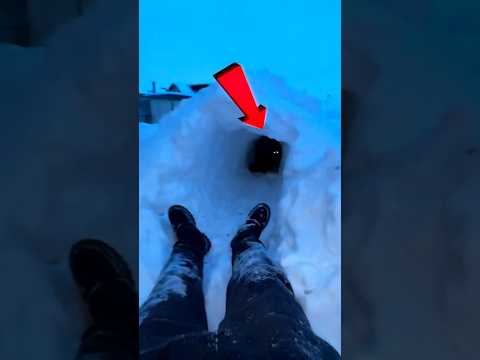 Lui Entrò In Quel Buco e Non Ne Uscì Più 😨 #viral