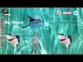 Baby Shark Big Show