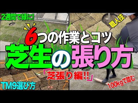 乾燥した夏に向けて芝生を準備する方法 トピックス