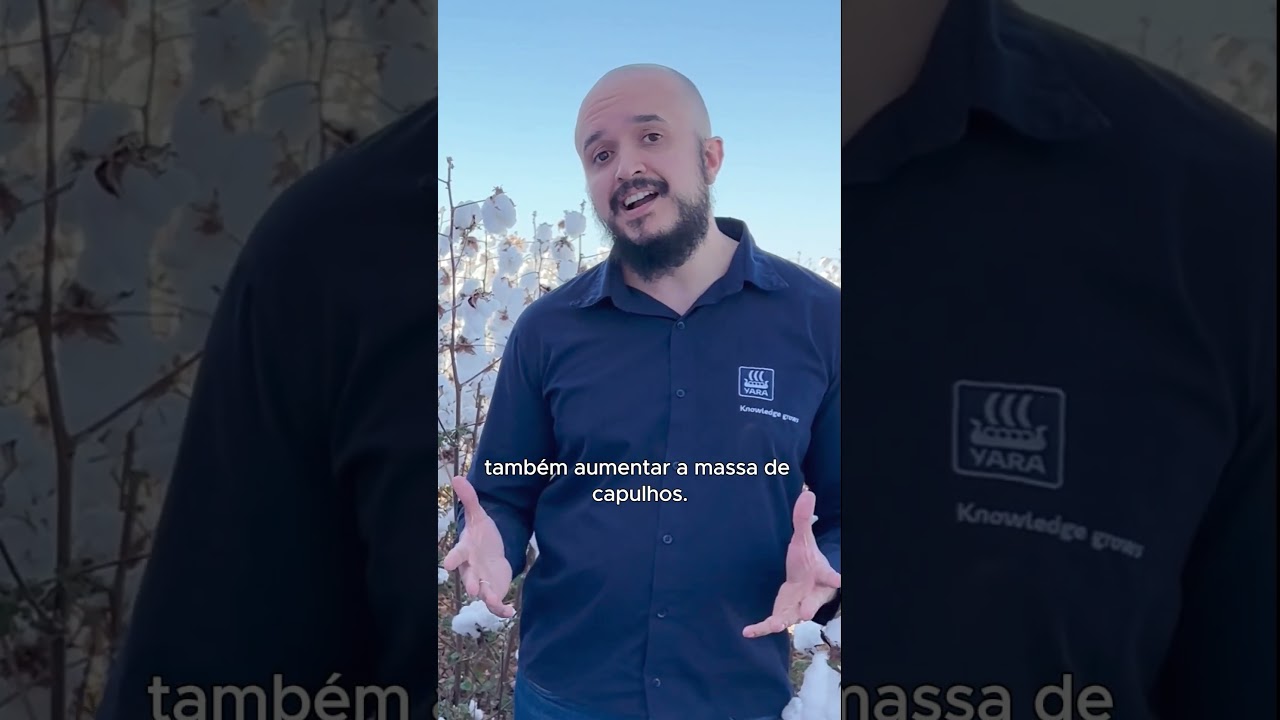 Programa Nutricional MaisFibra