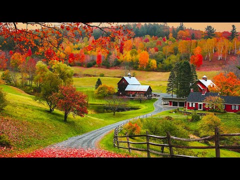 Autumn Foliage Golden Morning Sunrise, Beautiful Relaxing Hymns, Peaceful piano, by Tim Janis