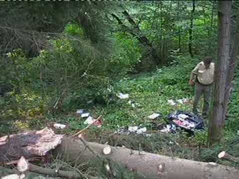 VU B407 Waldweiler 03 08 2007