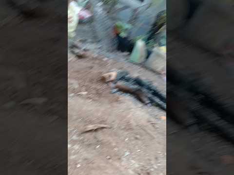 # ang taong walang pahinga