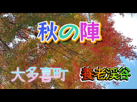 第4回 大多喜町動画コンテスト  作品4-1-1「秋の陣　養老渓谷」  制作 くのいちクラブ  中村 喜久江