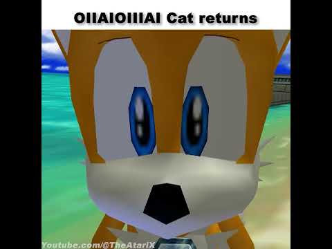 OIIAIOIIIAI Cat returns #sonic #memes