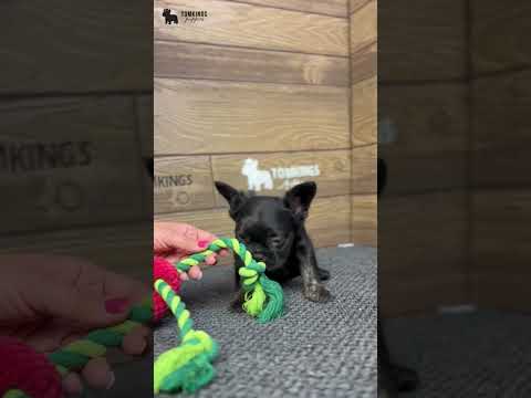 Video 3