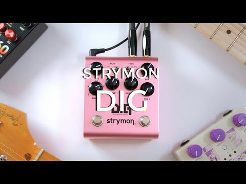 Strymon Dig V2 Dual Digital Delay Pedal *AUTHORIZED DEALER image 3