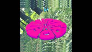 WATERBED | butterfly