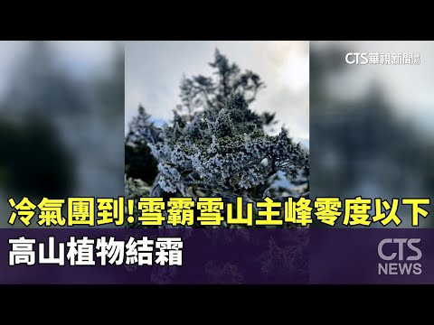 冷氣團報到！　雪霸雪山主峰零度以下.高山植物結霜