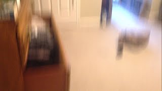 The Hell Of It--Paul Williams Cover