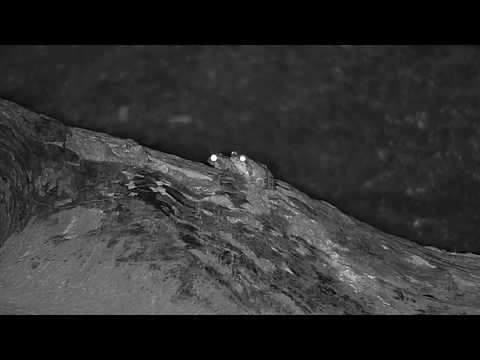 Djuma: Frogs and Terrapins - 21:40 - 11/22/19