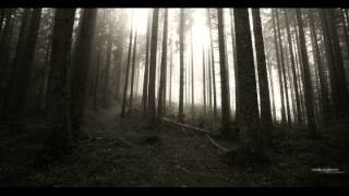 DRACONIAN - Akherousia (OFFICIAL DARK LYRICS VIDEO)