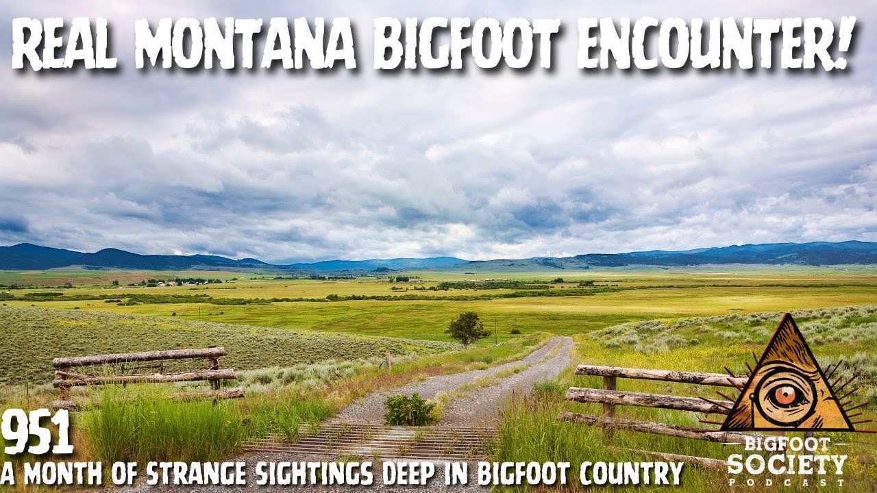 Real Montana Bigfoot Encounter: A Month of Strange Activity in the Wilderness