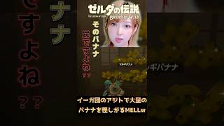 この量のバナナはおかしすぎるって！ #ブレワイ #ゼルダの伝説ブレスオブザワイルド #shorts