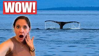 Top Moments from Our Alaska Cruise | Ports, Wildlife & Gear OM-5 Mark II