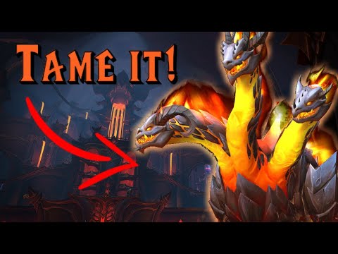 Magmorax is tameable now!